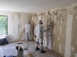 Best Residential Mold Inspection & Testing in USA